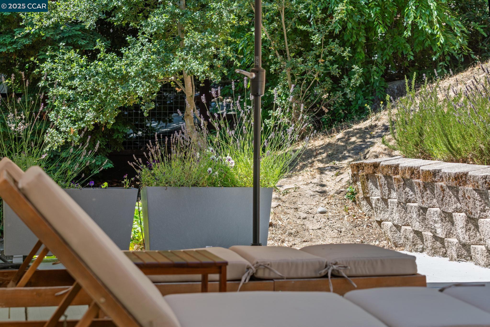 3555 Old Mountain View Drive Lafayette, CA 94549 - Photo 12 of 41 a view of backyard with green space