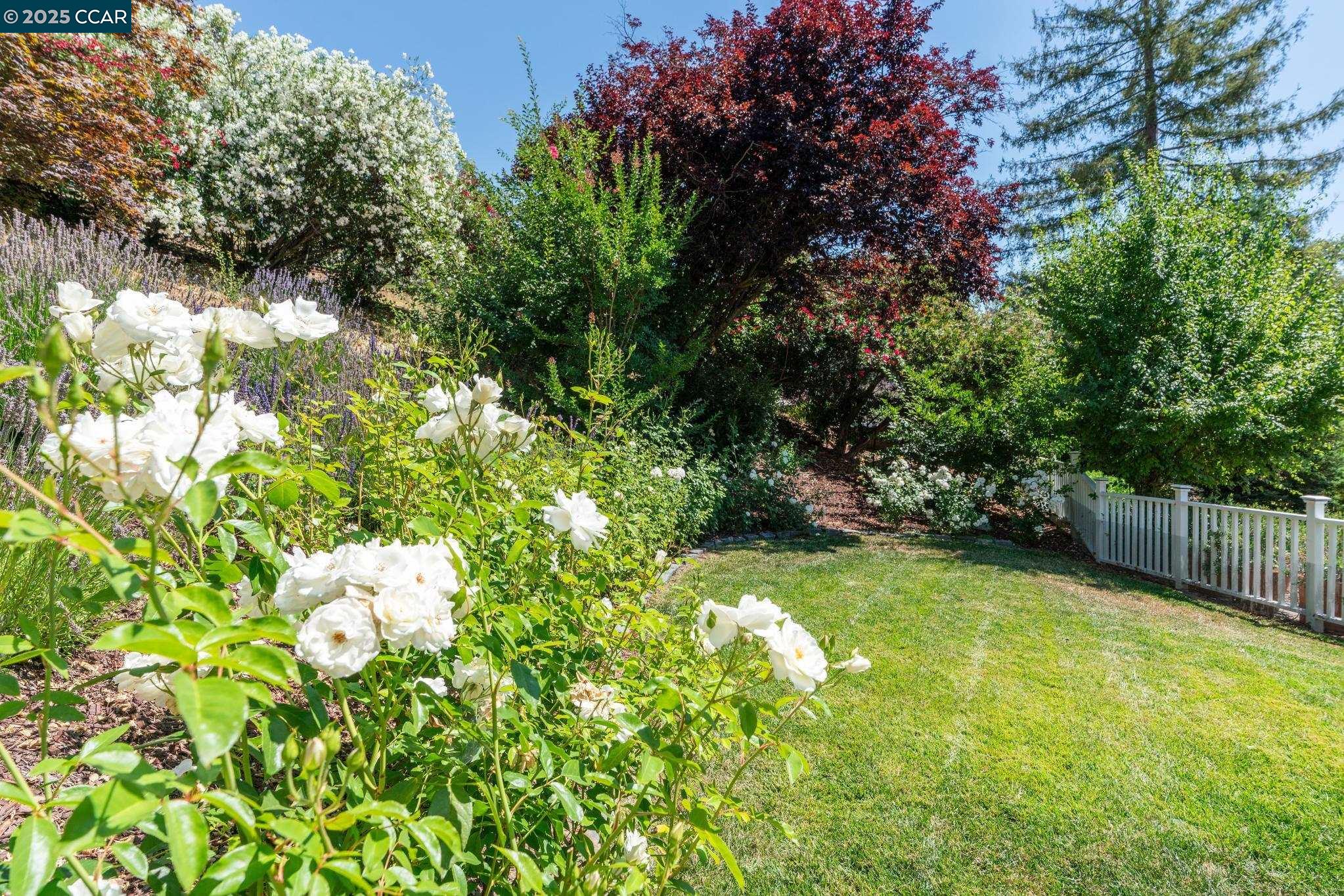 3555 Old Mountain View Drive Lafayette, CA 94549 - Photo 8 of 41 a backyard of a house with lots of green space and garden view