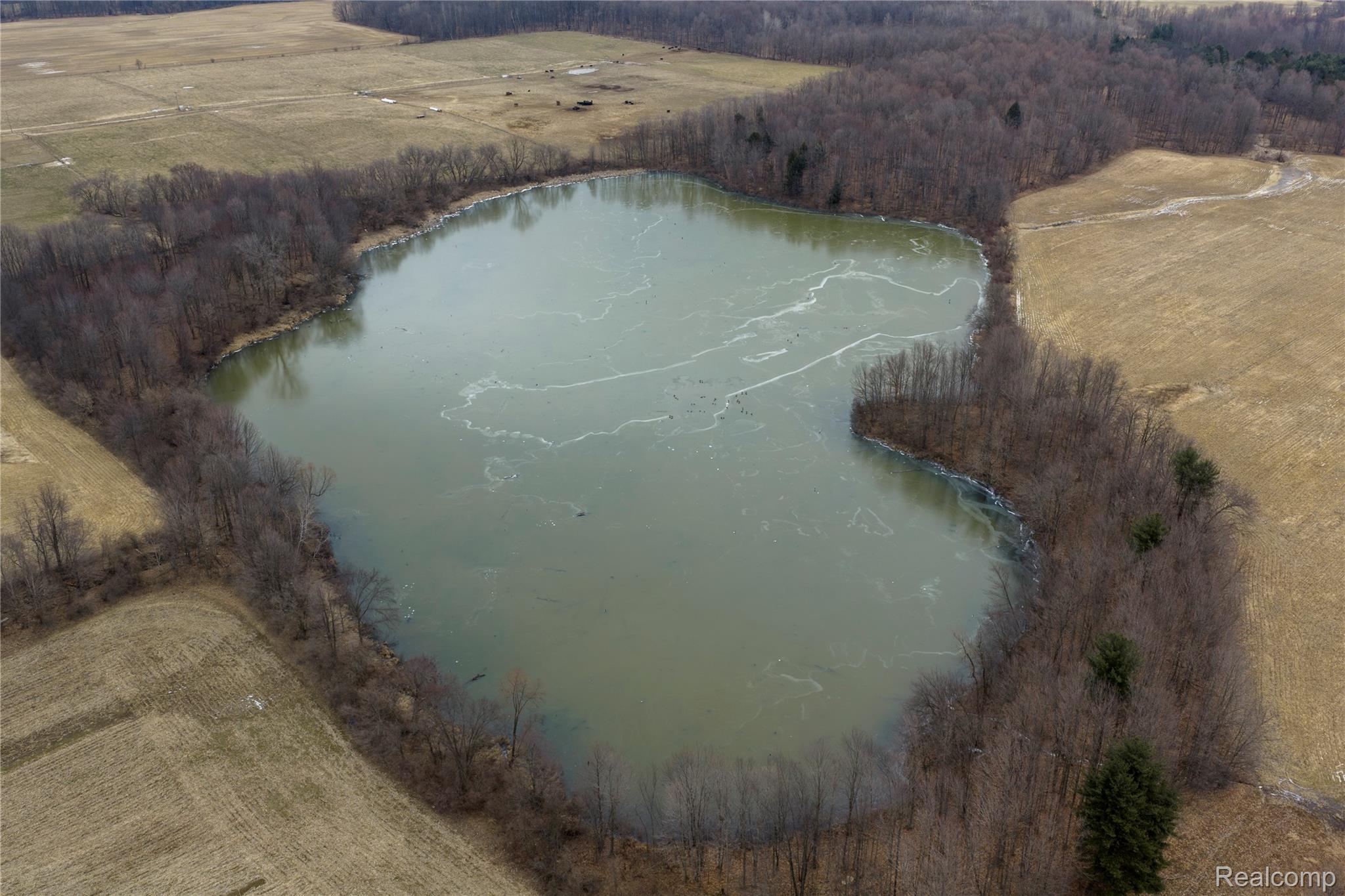 0 Shay Lake Road Kingston, MI 48741 - Photo 10 of 21 10.jpg