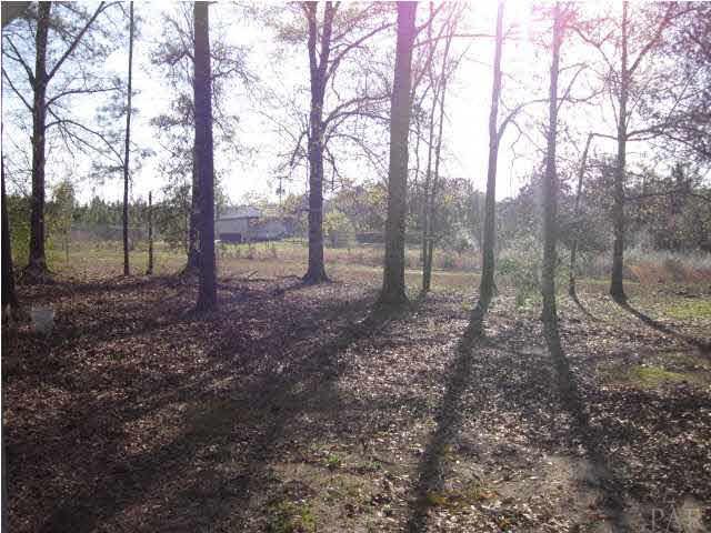 5044 Iva Road Jay, FL 32565 - Photo 9 of 16 YARD