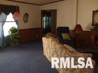 1981 Stonefort Road Stonefort, IL 62987 - Photo 3 of 11