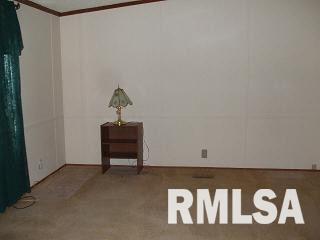 1981 Stonefort Road Stonefort, IL 62987 - Photo 4 of 11