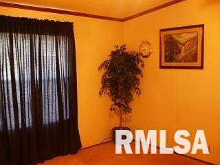 1981 Stonefort Road Stonefort, IL 62987 - Photo 8 of 11