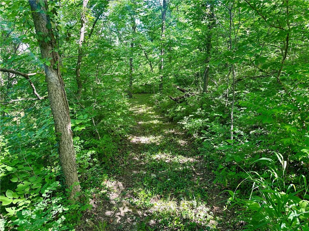 8360 Waverly Road De Soto, KS 66018 - Photo 29 of 42