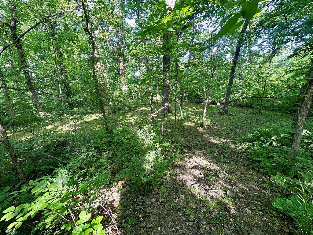 8360 Waverly Road De Soto, KS 66018 - Photo 30 of 42