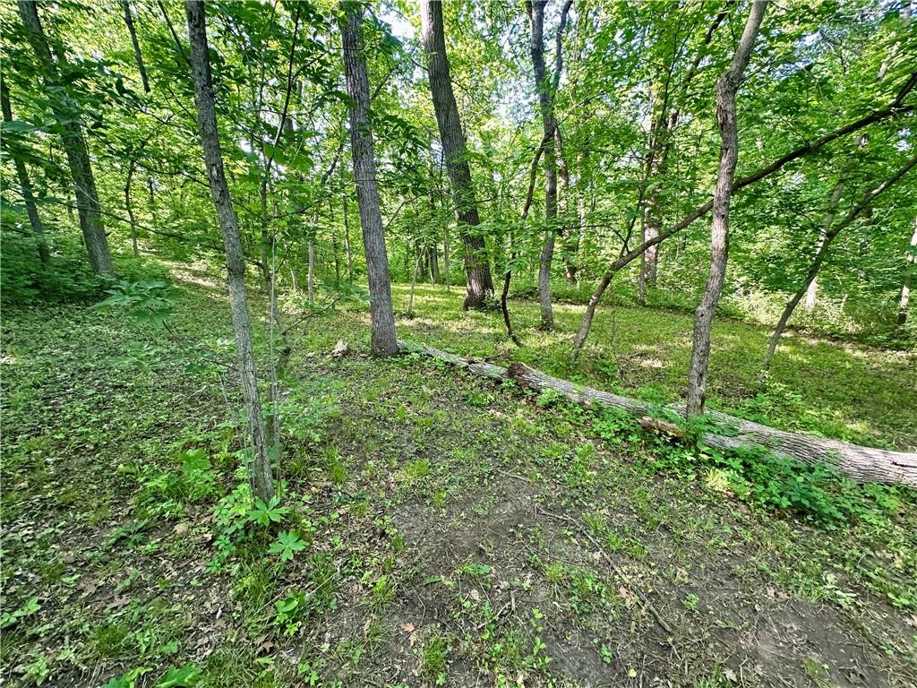 8360 Waverly Road De Soto, KS 66018 - Photo 35 of 42