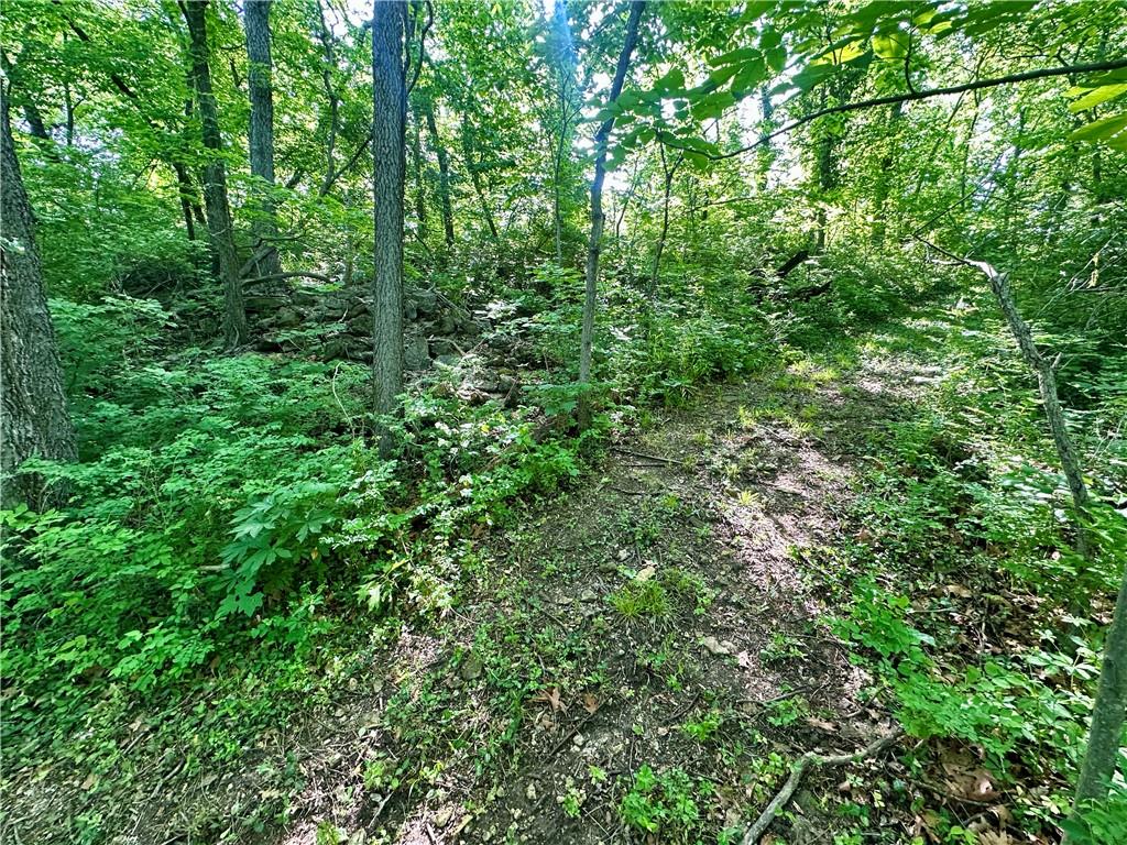 8360 Waverly Road De Soto, KS 66018 - Photo 36 of 42