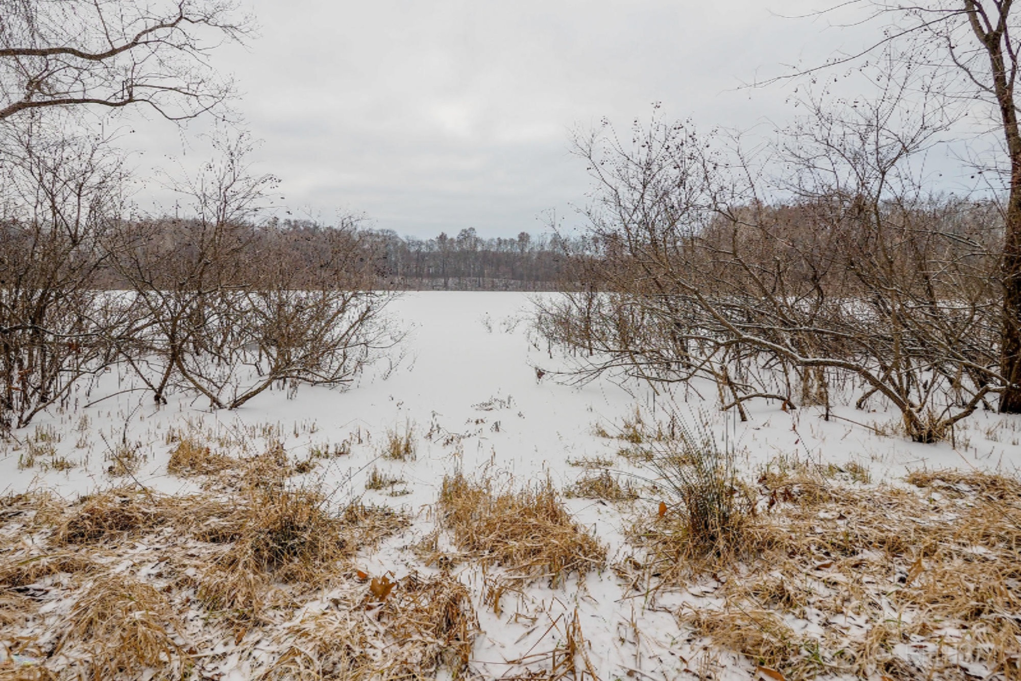 11727 Coon Hollow Road Three Rivers, MI 49093 - Photo 25 of 43 11727 Coon Hollow Road-122
