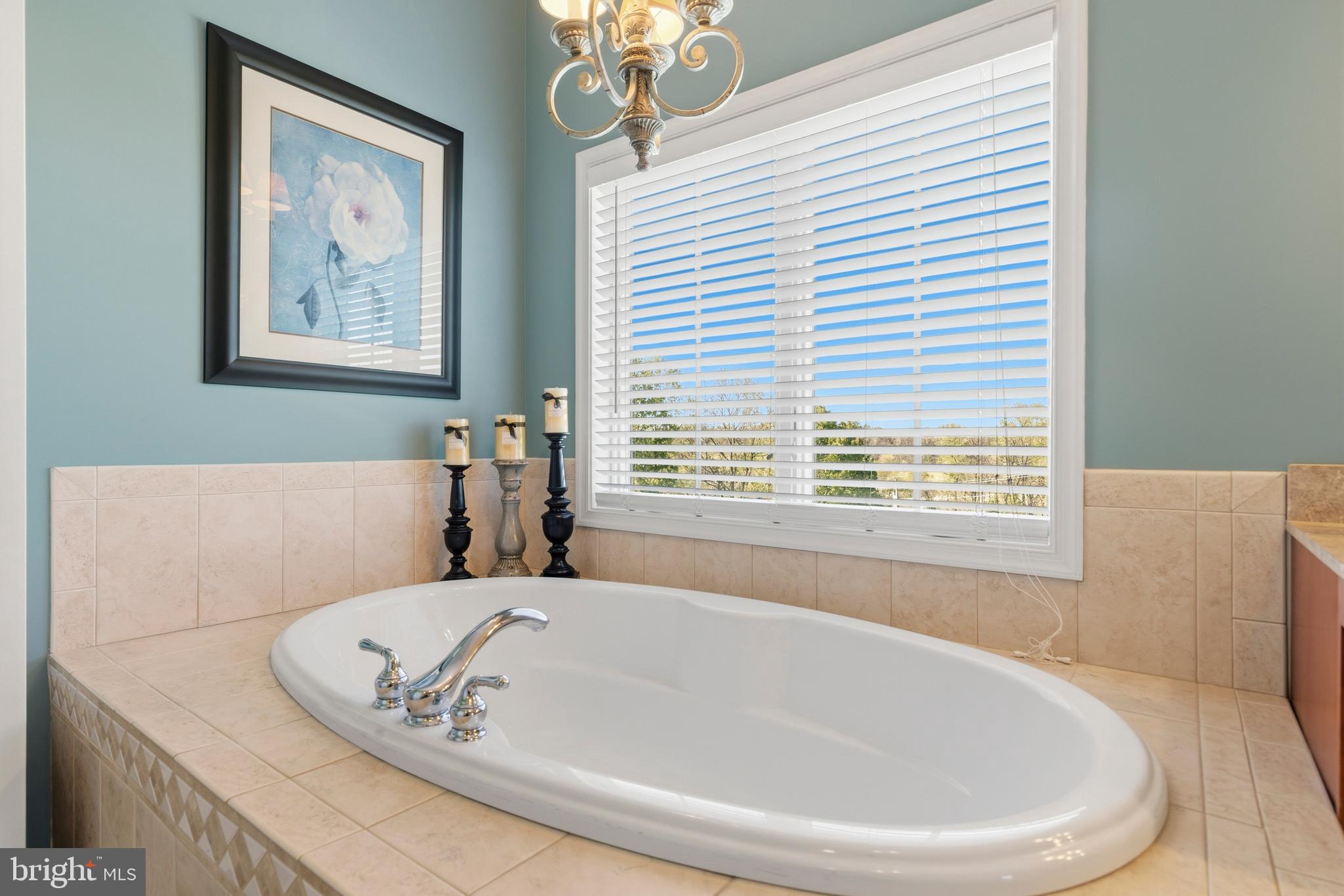 16527 Hampton Road Hamilton, VA 20158 - Photo 29 of 56 Soaking Tub