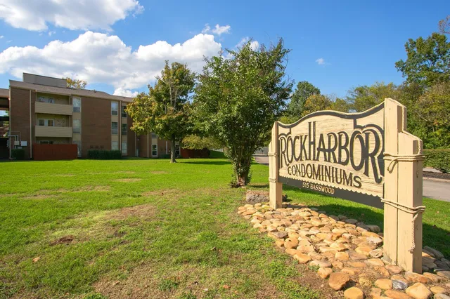 a view of a back yard