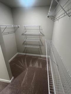 9158 Fuller Road, Unit 14 Chattanooga, TN 37421 - Photo 12 of 20 Right Side of Master Closet