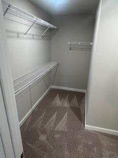 9158 Fuller Road, Unit 14 Chattanooga, TN 37421 - Photo 13 of 20 Left Side of Master Closet