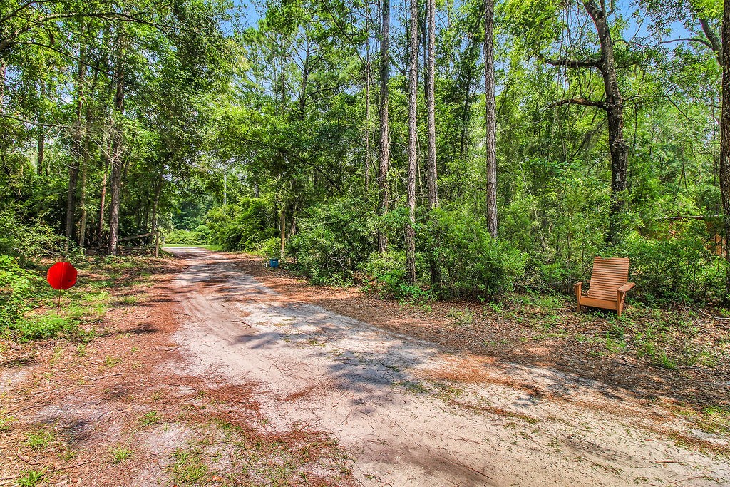 1269 Sea Way Northeast Townsend, GA 31331 - Photo 34 of 60