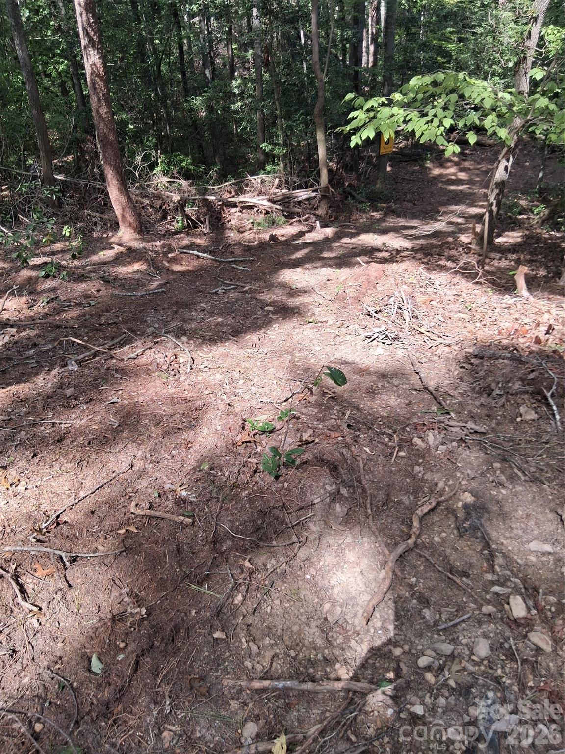 Tbd Gus Peeler Road, Unit 2 Connelly Springs, NC 28612 - Photo 12 of 17 Gallery Image 12
