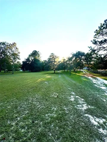 a view of a grassy field with trees