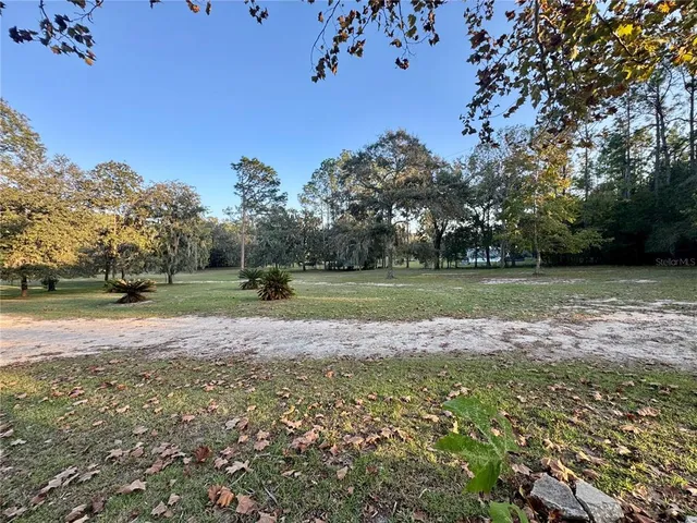 a view of a tree in a yard