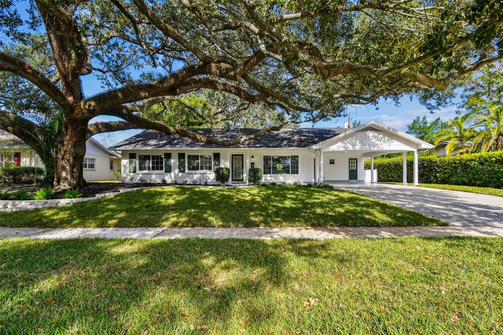 3311 Lacewood Road Tampa, FL 33618 - Photo 1 of 1 a front view of house with yard and green space