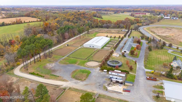 a view of a yard with large trees