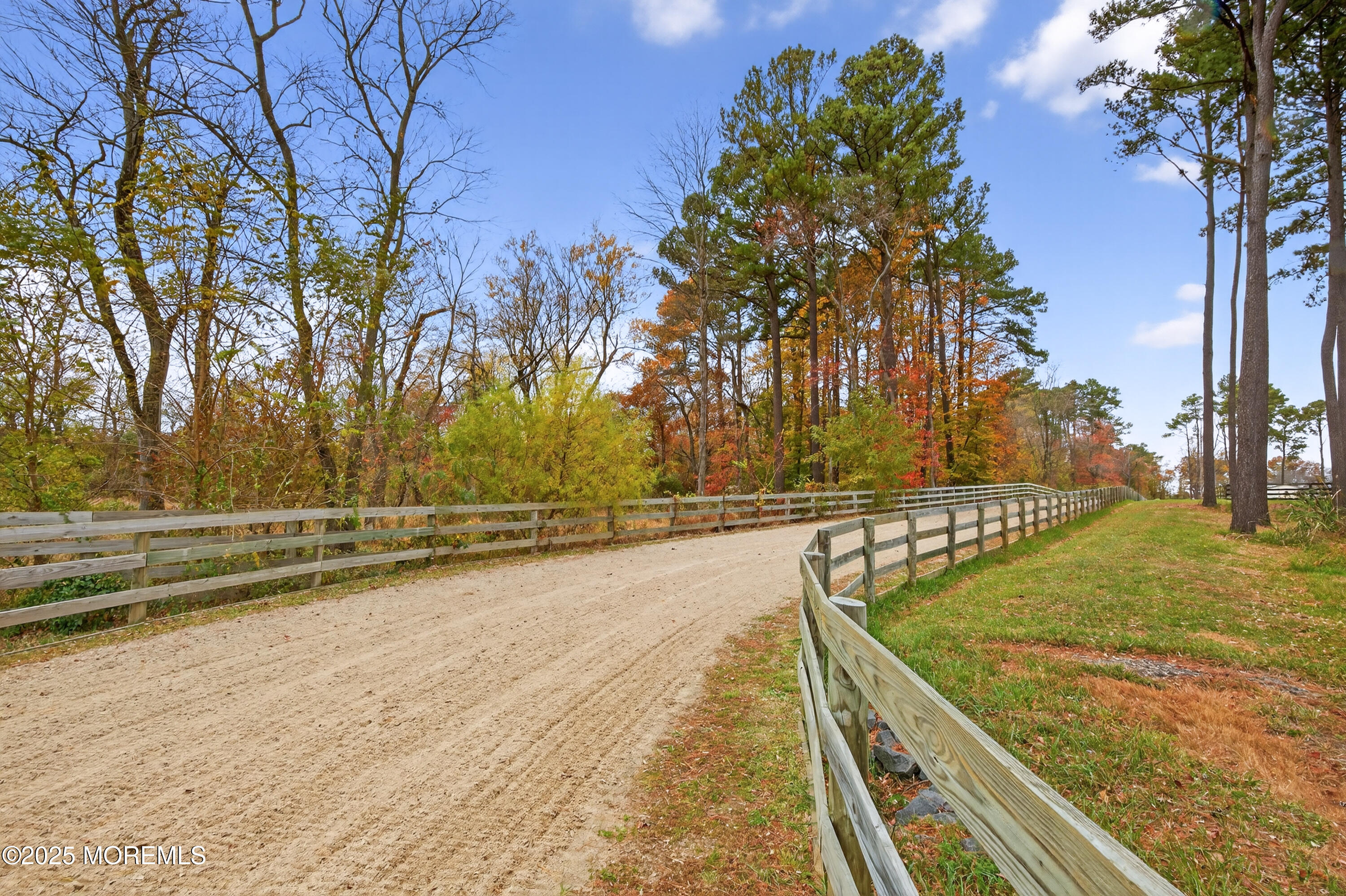 52 Hill Road Allentown, NJ 08501 - Photo 35 of 42 a view of a yard with large trees