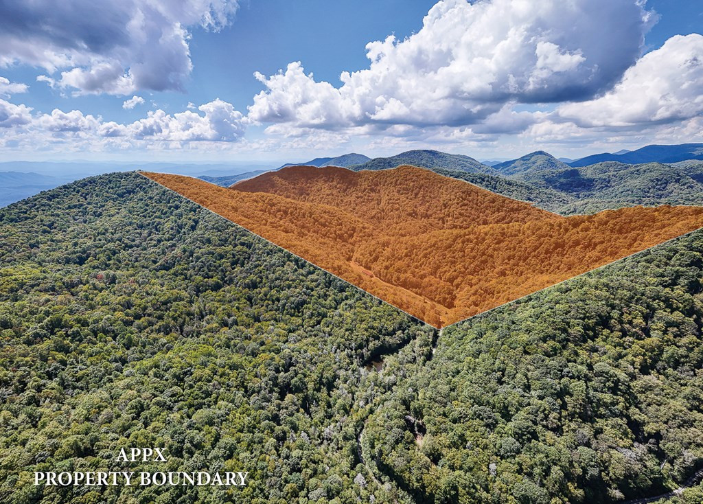 9765 Little Snowbird Road Robbinsville, NC 28771 - Photo 23 of 34