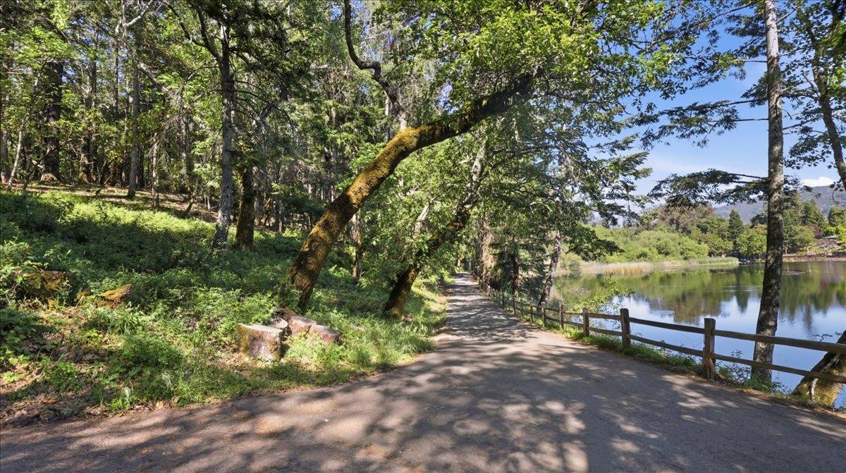 19730 Black Road Los Gatos, CA 95033 - Photo 1 of 16