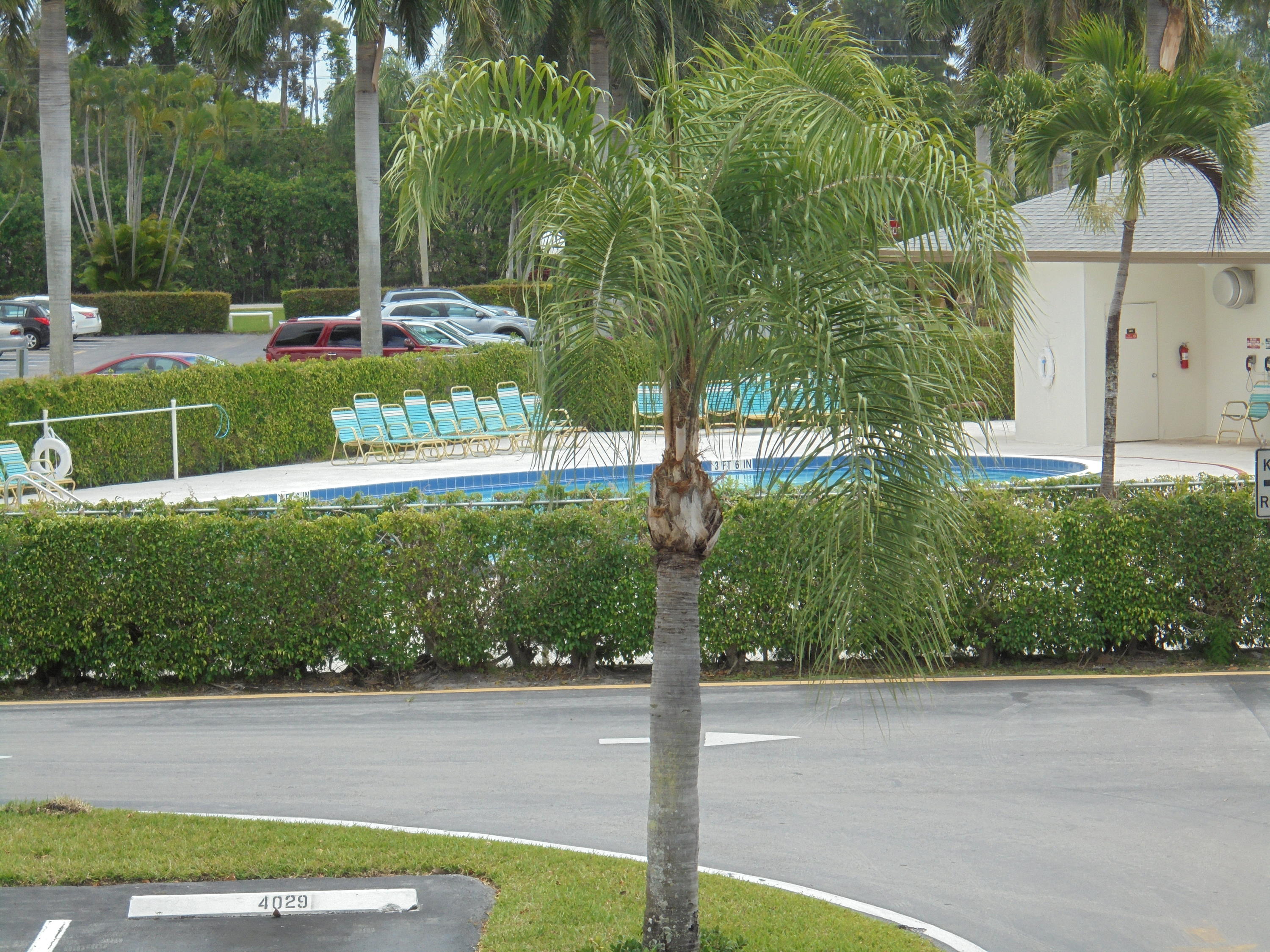 2028 Hythe B Boca Raton, FL 33434 - Photo 14 of 15 a view of a swimming pool with a yard