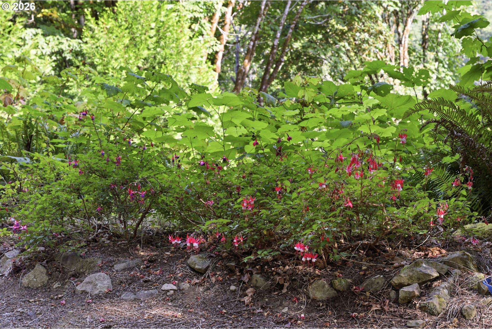 0 Sweet Creek Road Mapleton, OR 97453 - Photo 19 of 29 Gallery Image 19