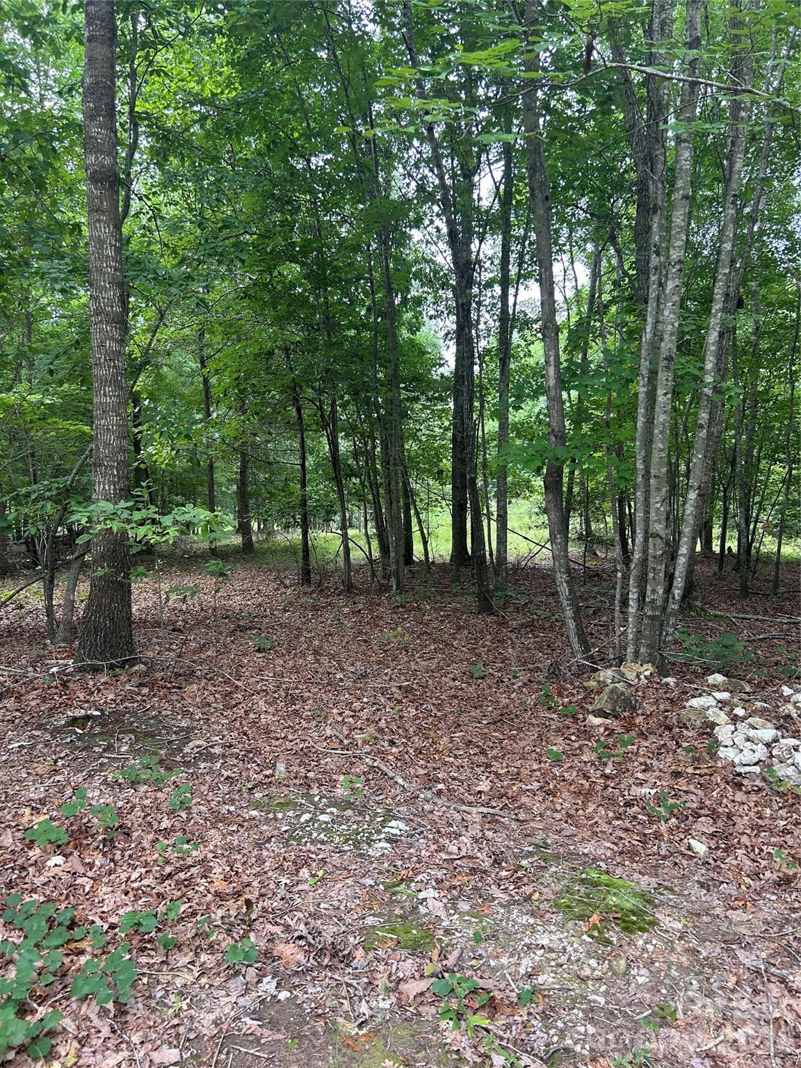 0 Wadeville Road Mount Gilead, NC 27306 - Photo 1 of 6 Gallery Image 1