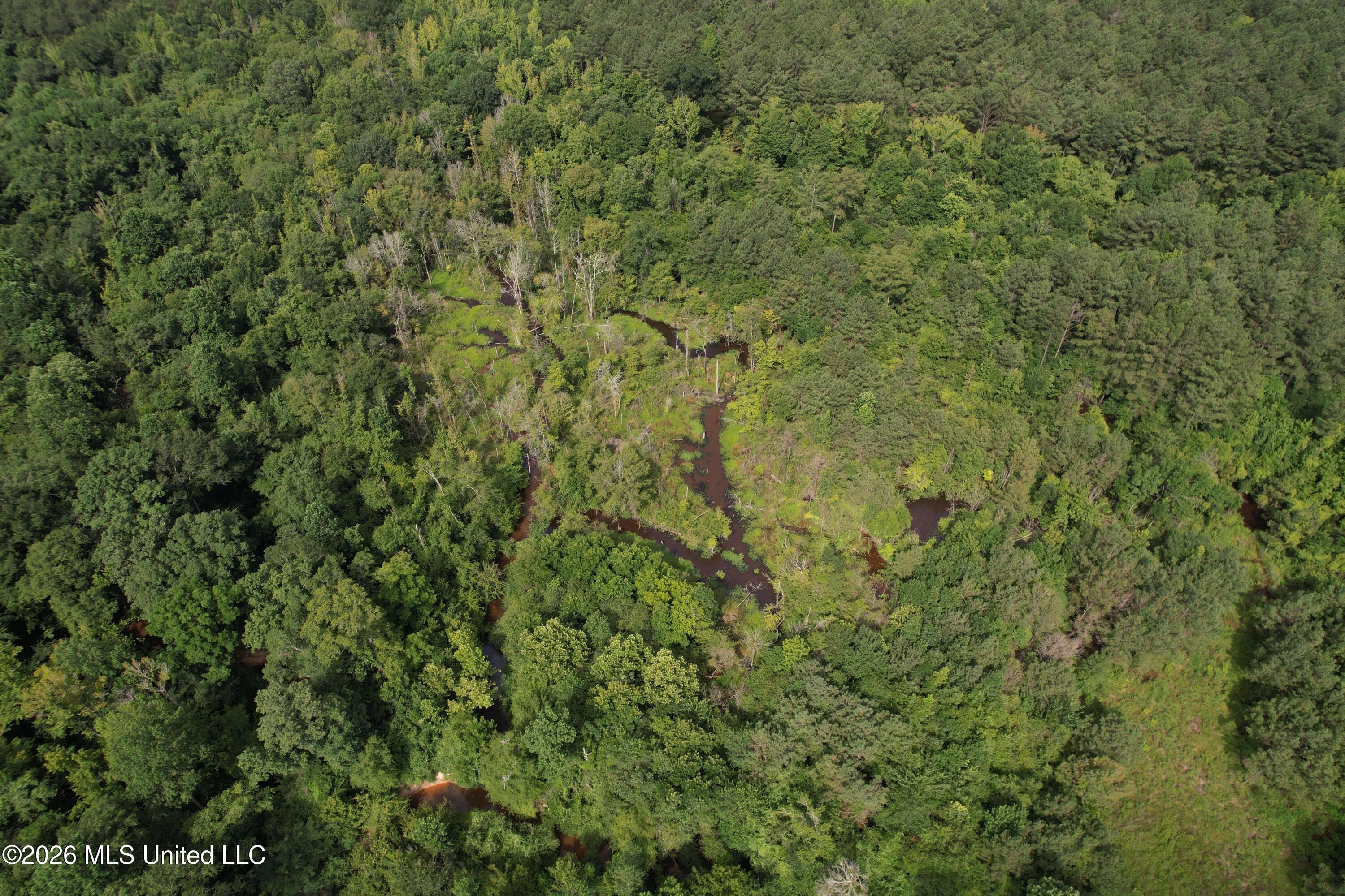 Winfry Road Kilmichael, MS 39747 - Photo 12 of 22 dji_fly_20260630_100402_155_178303789385