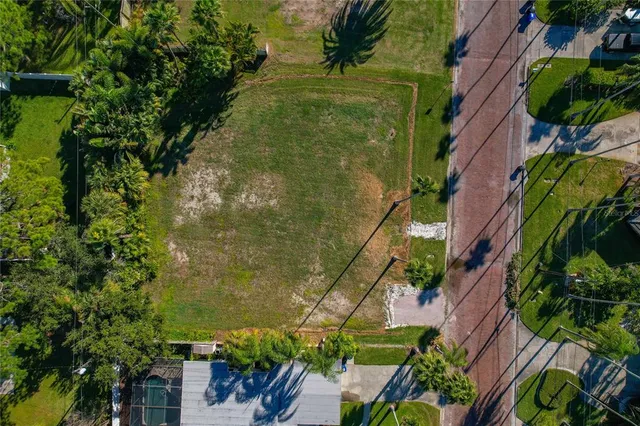 a view of a park with a tree