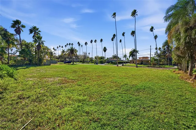 a view of a park with palm trees