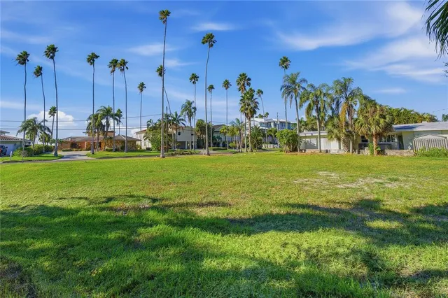 a view of a park with palm trees