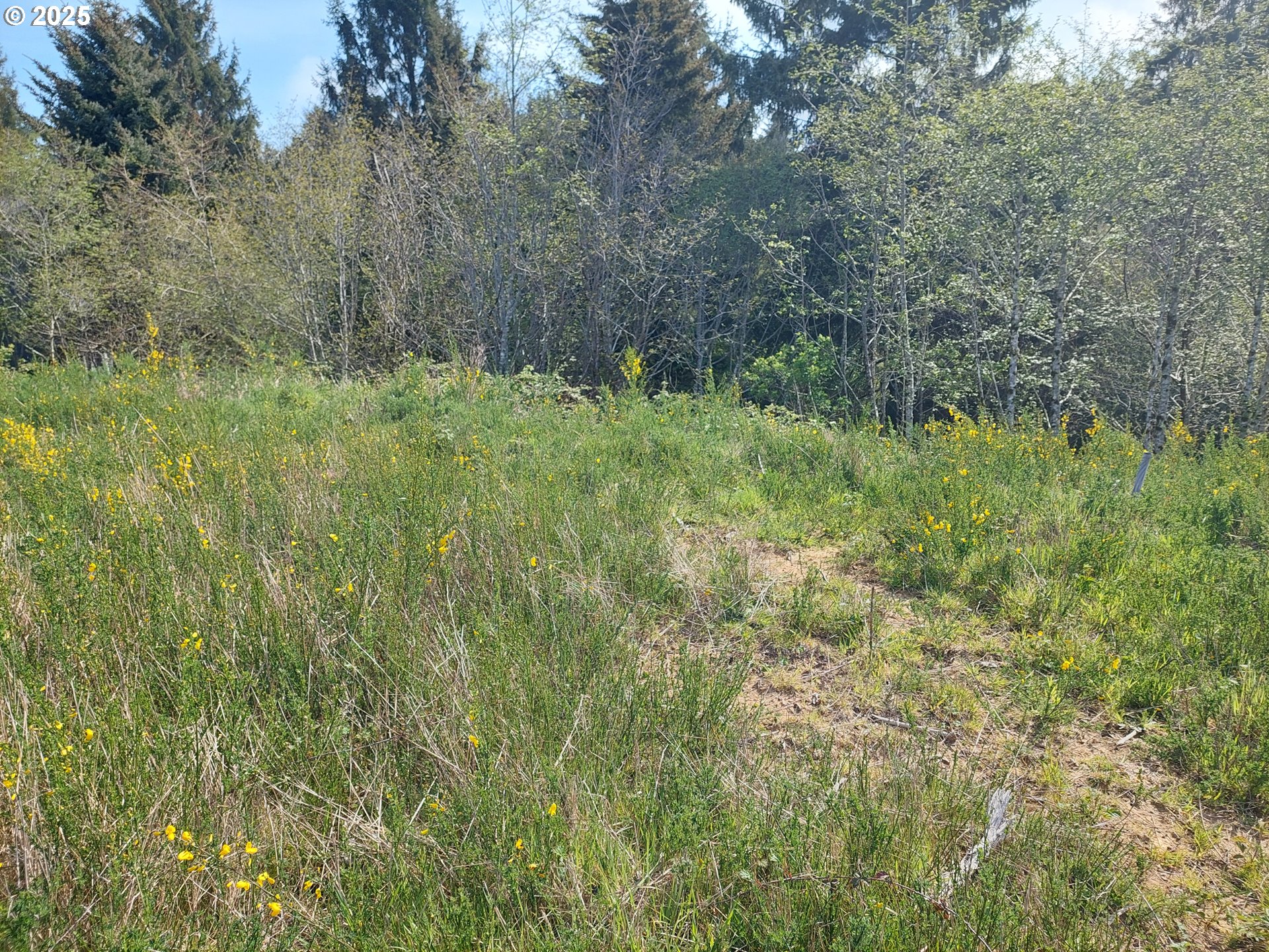 Northeast 55th Place Lincoln City, OR 97367 - Photo 2 of 3