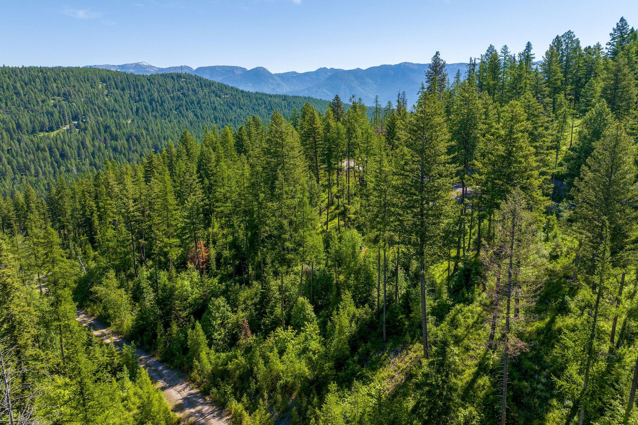 173 Timberjack Trail Bigfork, MT 59911 - Photo 33 of 35 Gallery Image 33