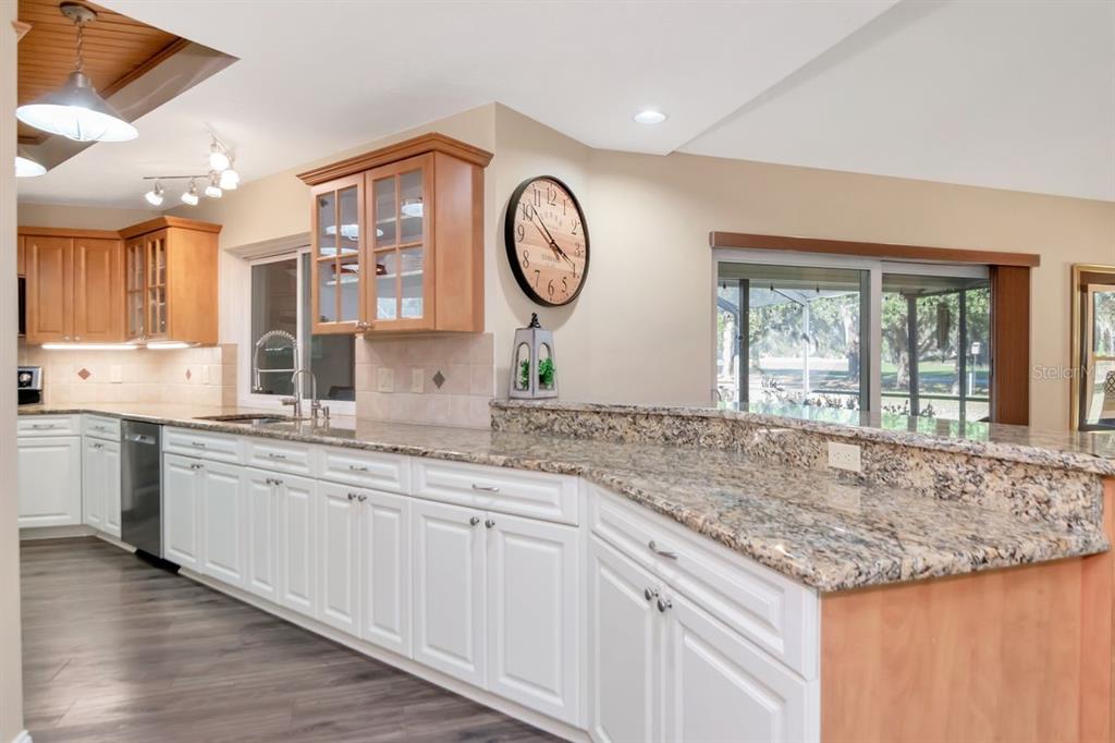 3910 Turkey Oak Drive Valrico, FL 33596 - Photo 12 of 63