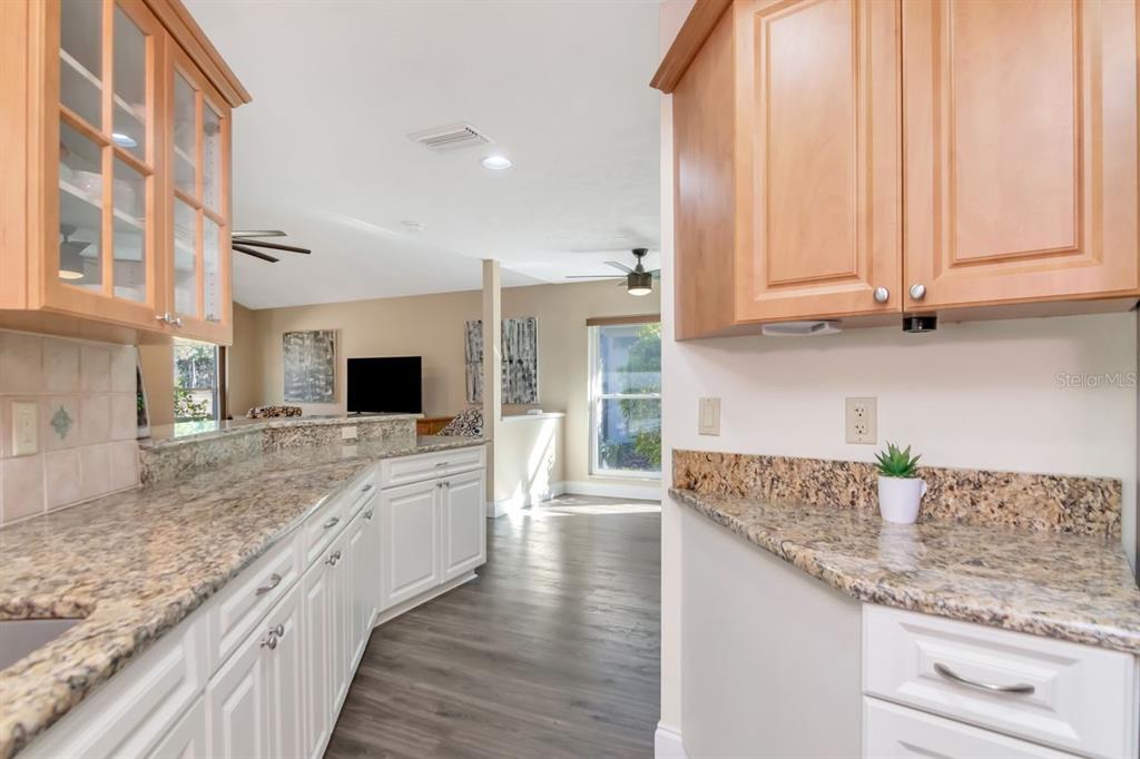 3910 Turkey Oak Drive Valrico, FL 33596 - Photo 13 of 63