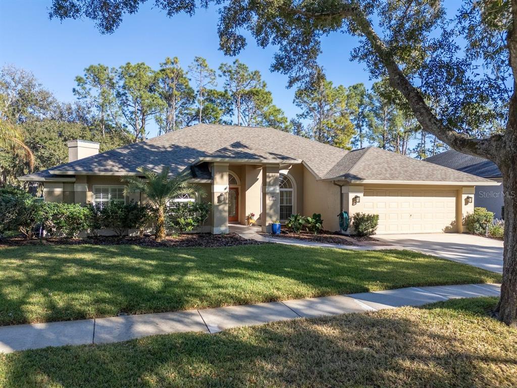 3910 Turkey Oak Drive Valrico, FL 33596 - Photo 2 of 63