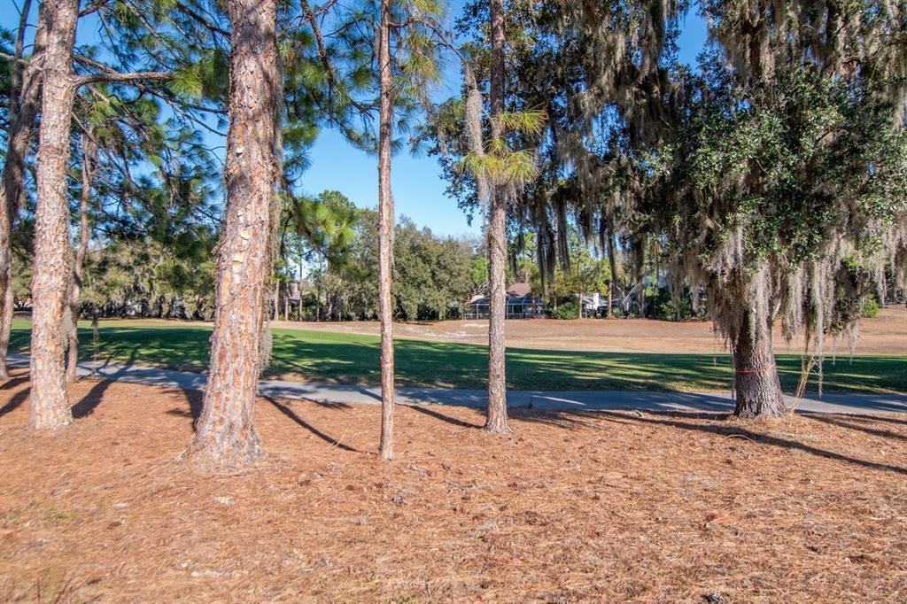 3910 Turkey Oak Drive Valrico, FL 33596 - Photo 40 of 63