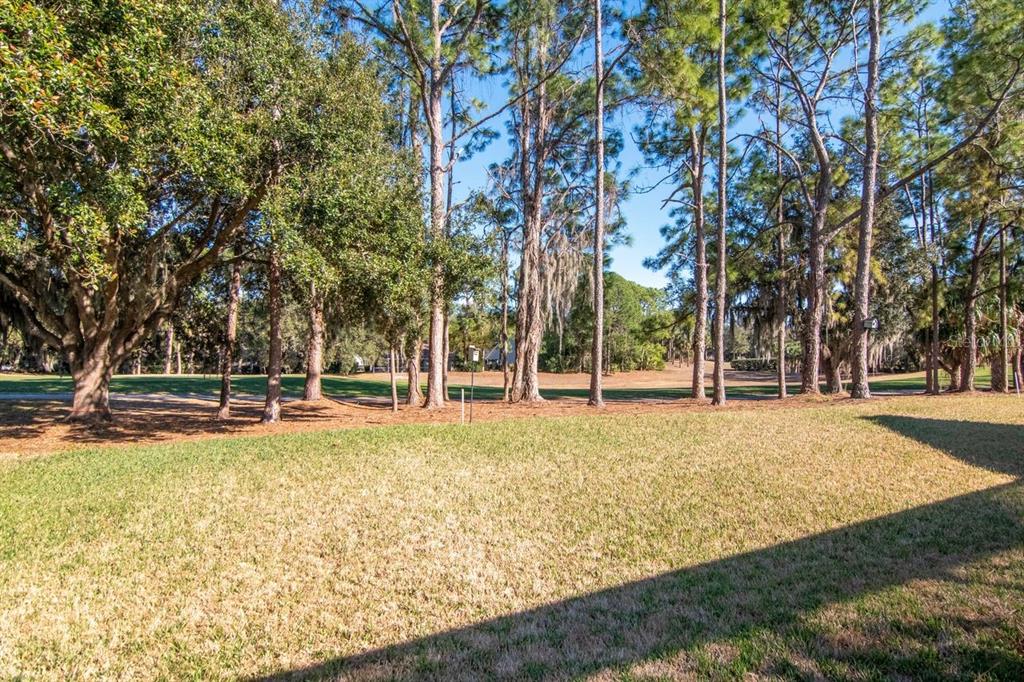 3910 Turkey Oak Drive Valrico, FL 33596 - Photo 41 of 63