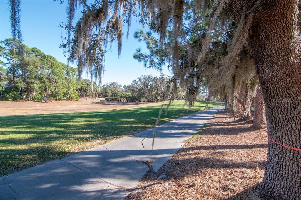 3910 Turkey Oak Drive Valrico, FL 33596 - Photo 43 of 63