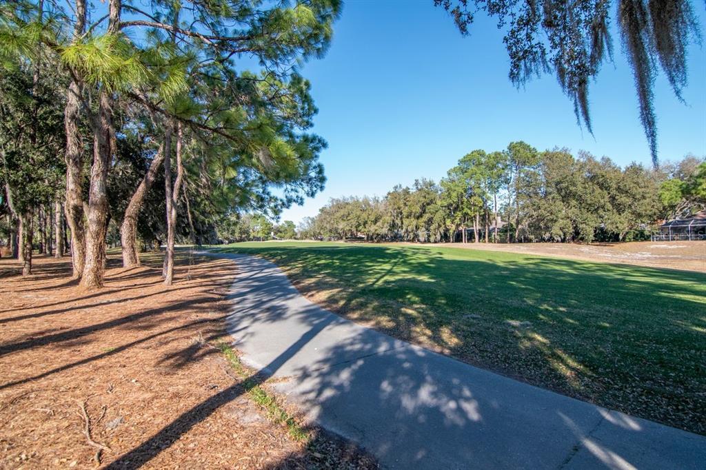 3910 Turkey Oak Drive Valrico, FL 33596 - Photo 44 of 63