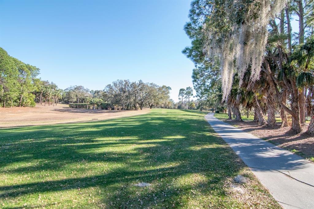 3910 Turkey Oak Drive Valrico, FL 33596 - Photo 45 of 63