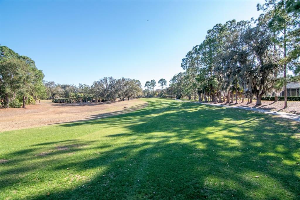 3910 Turkey Oak Drive Valrico, FL 33596 - Photo 47 of 63