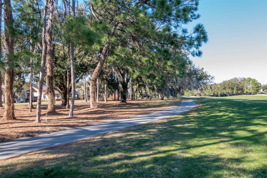 3910 Turkey Oak Drive Valrico, FL 33596 - Photo 48 of 63