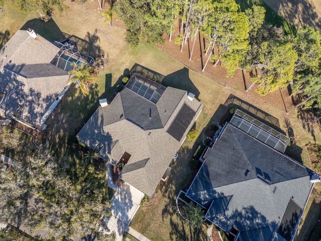 3910 Turkey Oak Drive Valrico, FL 33596 - Photo 49 of 63