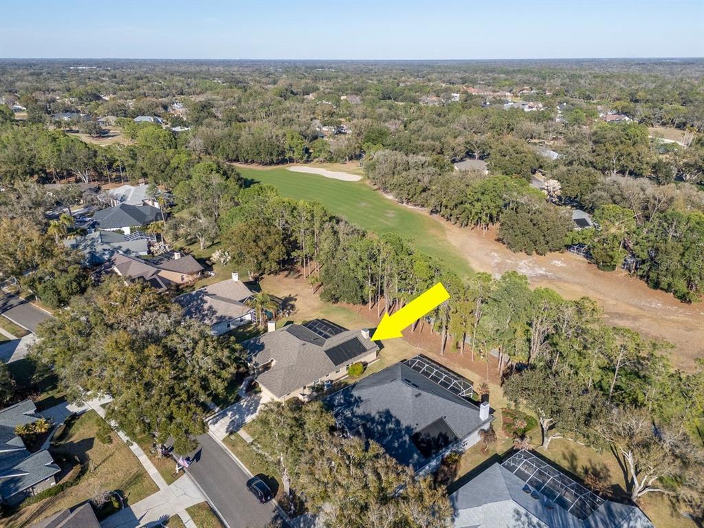 3910 Turkey Oak Drive Valrico, FL 33596 - Photo 50 of 63