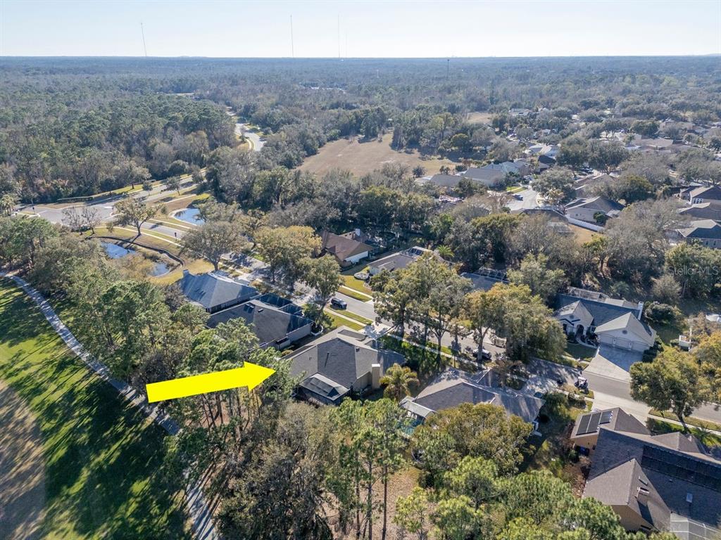 3910 Turkey Oak Drive Valrico, FL 33596 - Photo 51 of 63