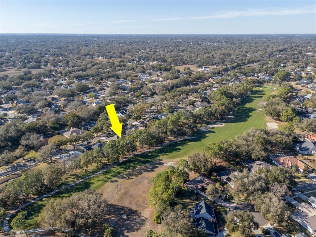 3910 Turkey Oak Drive Valrico, FL 33596 - Photo 52 of 63