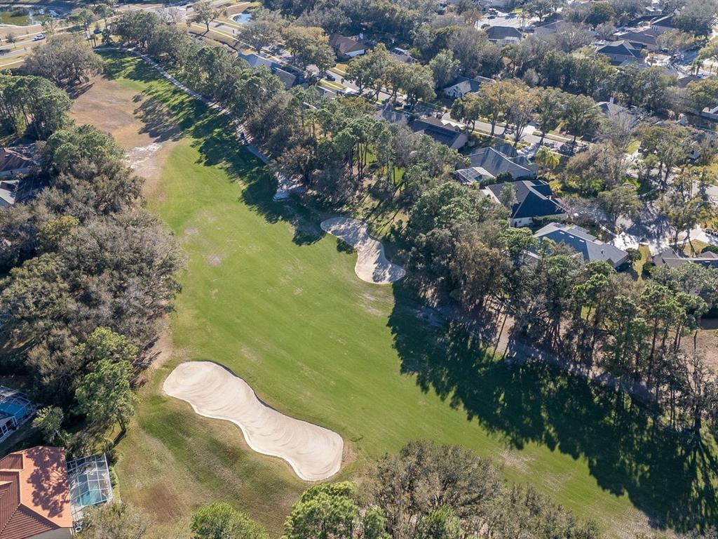 3910 Turkey Oak Drive Valrico, FL 33596 - Photo 53 of 63