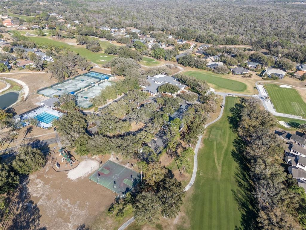 3910 Turkey Oak Drive Valrico, FL 33596 - Photo 54 of 63